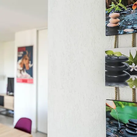 דירה La Loge Du Minotaure, Parking Et Bureaux טולוז