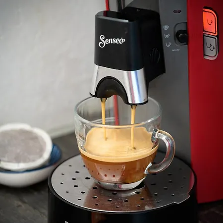 Lejlighed La Loge Du Minotaure, Parking Et Bureaux Toulouse