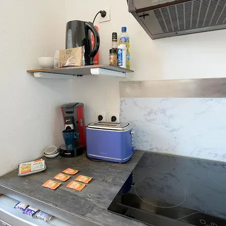 La Loge Du Minotaure, Parking Et Bureaux * טולוז