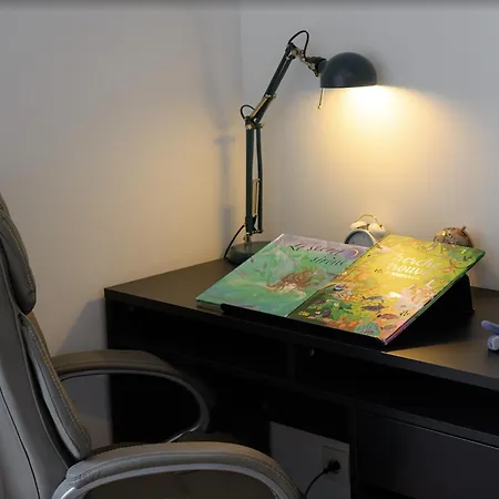 Appartement La Loge Du Minotaure, Parking Et Bureaux Toulouse