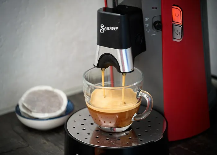 Apartment La Loge Du Minotaure, Parking Et Bureaux Toulouse